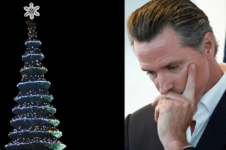 newsom-christmas-tree