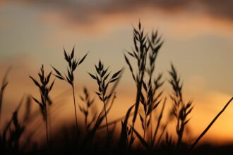 michael-brown-not-discouraged