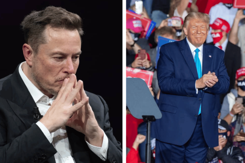 trump-musk-x