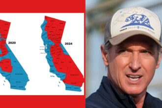 gavin-newsom-out-of-touch