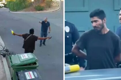 illegal-immigrant-blow-torch-california-fires-los-angeles