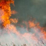 la-wild-fire