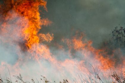 la-wild-fire