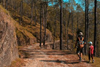 man and kid walking on downhill
