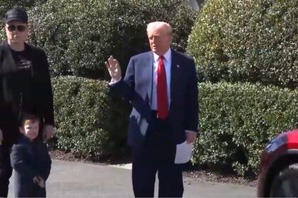 trump-musk