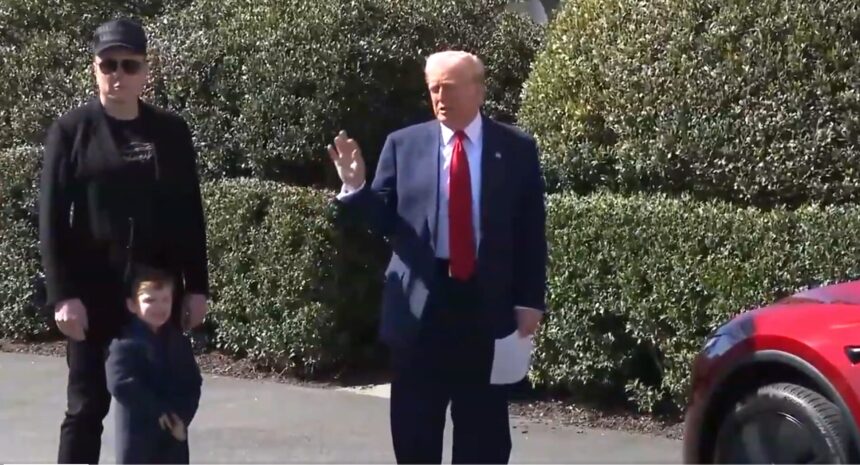 trump-musk