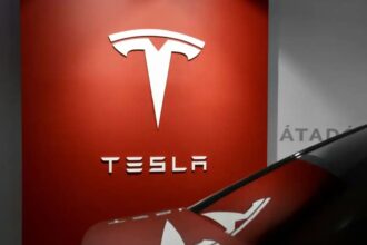 tesla-protests