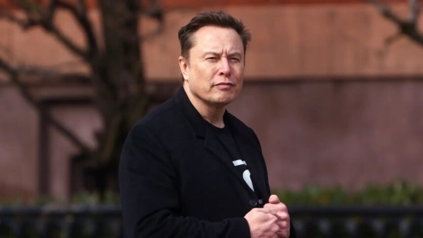 elon-musk-doge-immigration