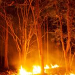 south-carolina-fires
