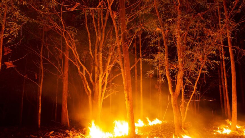 south-carolina-fires