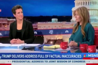 MSNBC-dj-comment