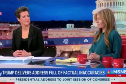 MSNBC-dj-comment