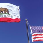 Well-funded activists and a coordinated social media campaign helped spark the pro-illegal migrant protests on Friday that descended into days of rioting in Los Angeles.
