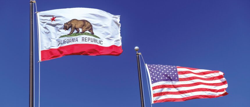 Well-funded activists and a coordinated social media campaign helped spark the pro-illegal migrant protests on Friday that descended into days of rioting in Los Angeles.