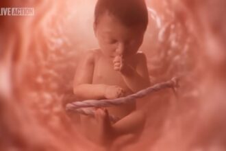 Indiana and Iowa have joined the growing list of states mandating pro-life fetal development videos like Baby Olivia in schools. Over 3 million students will see the humanity of unborn children.