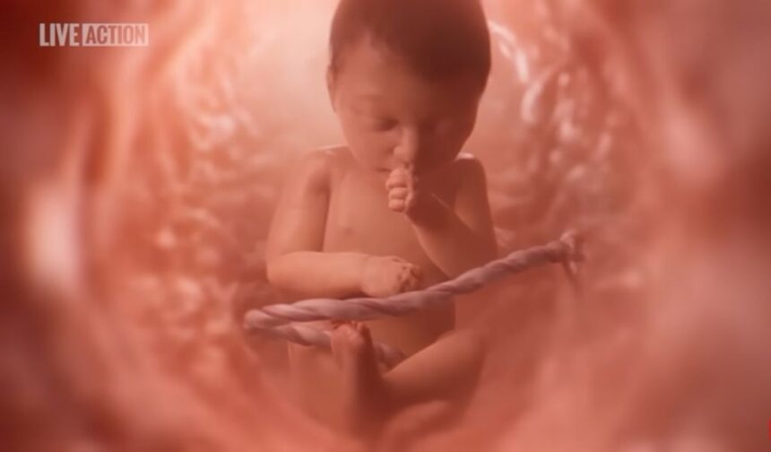 Indiana and Iowa have joined the growing list of states mandating pro-life fetal development videos like Baby Olivia in schools. Over 3 million students will see the humanity of unborn children.