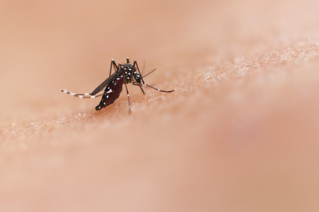 Long Beach Reports 21 West Nile Virus Cases So Far in 2026