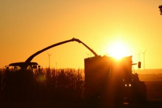 Combine harvester loading grain into a trailer at sunset as farmers face record diesel costs