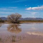 Flooded landscape under storm clouds.