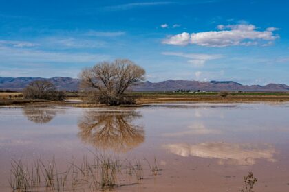 Flooded landscape under storm clouds.