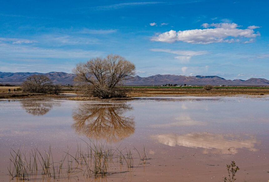 Flooded landscape under storm clouds.