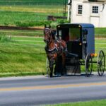 Horse-drawn buggy traveling on a rural road.