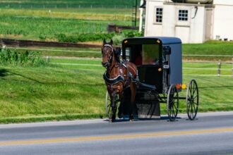 Horse-drawn buggy traveling on a rural road.