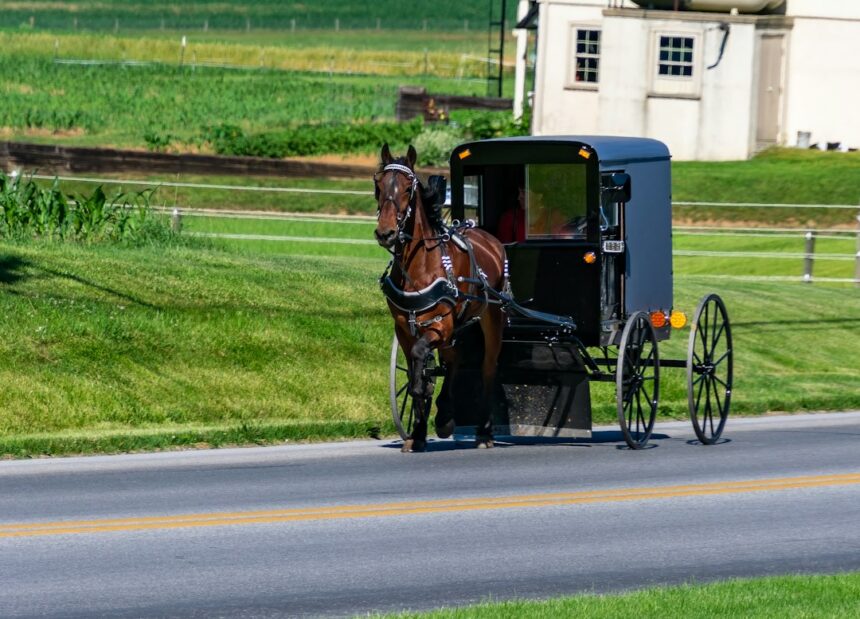 Horse-drawn buggy traveling on a rural road.