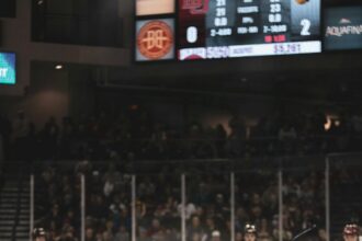 Ice hockey players on the ice during a game