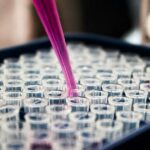 Laboratory test tubes used in biotechnology research