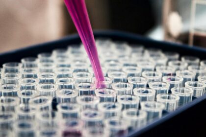 Laboratory test tubes used in biotechnology research