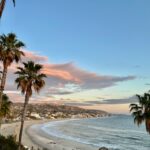 Orange County coastal palm trees during hot weather