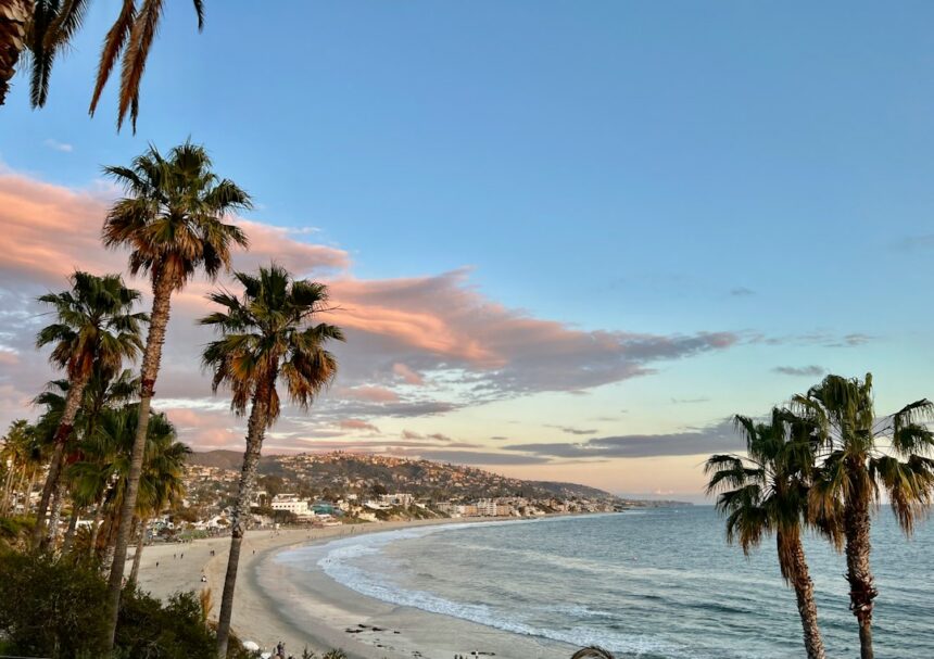Orange County coastal palm trees during hot weather