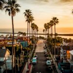 Palm-lined coastal street in Newport Beach area