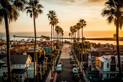 Palm-lined coastal street in Newport Beach area