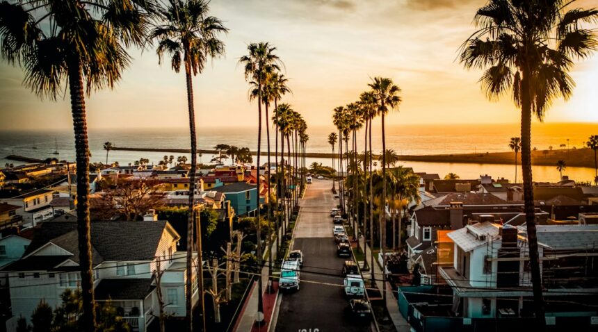 Palm-lined coastal street in Newport Beach area