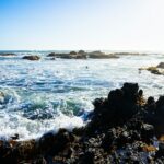 Rocky California shoreline illustrating a possible rare sea-snake sighting at Crystal Cove
