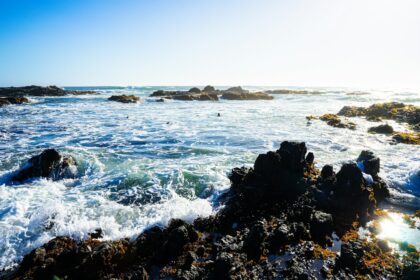 Rocky California shoreline illustrating a possible rare sea-snake sighting at Crystal Cove