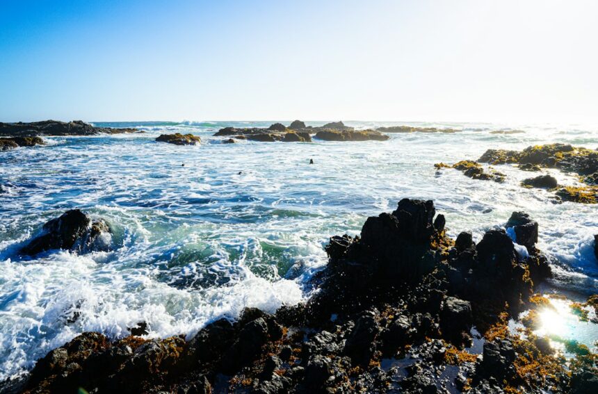 Rocky California shoreline illustrating a possible rare sea-snake sighting at Crystal Cove