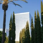 Southern California office building and palm tree, illustrative photo