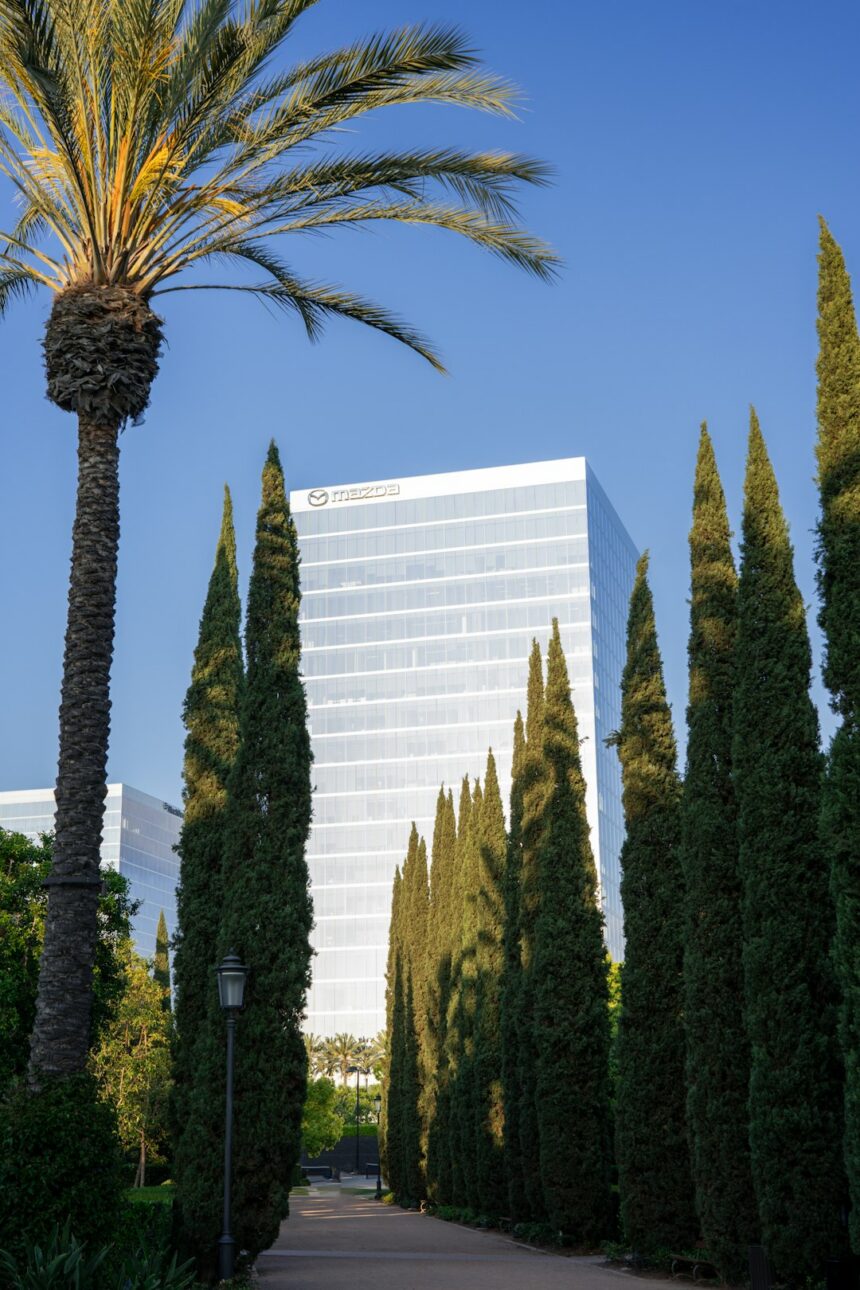 Southern California office building and palm tree, illustrative photo