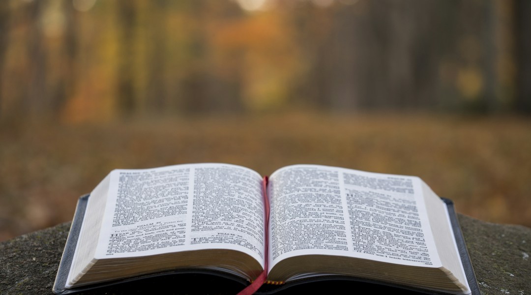An open Bible, an illustrative photograph.