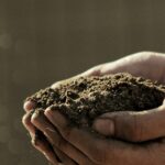 Hands holding soil; illustrative compost photograph, not Bowerman Landfill.