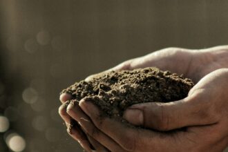 Hands holding soil; illustrative compost photograph, not Bowerman Landfill.