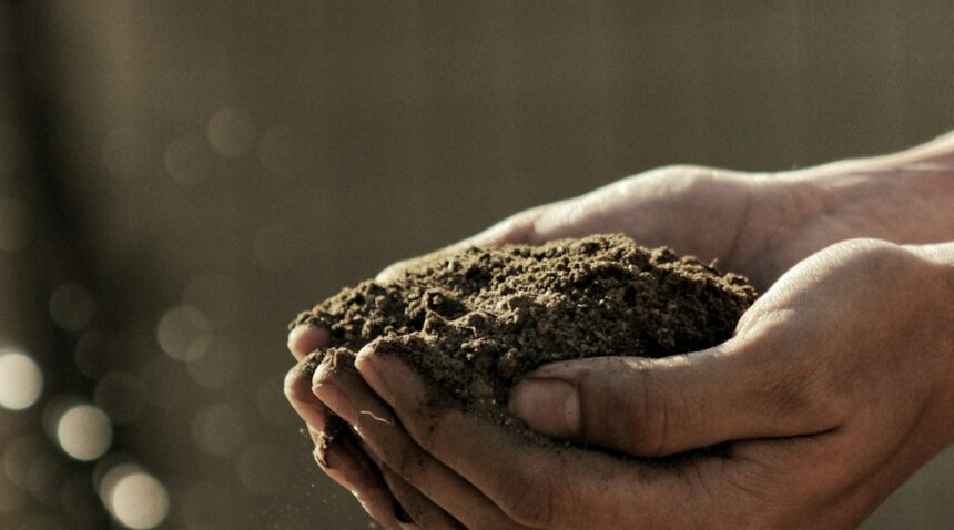 Hands holding soil; illustrative compost photograph, not Bowerman Landfill.